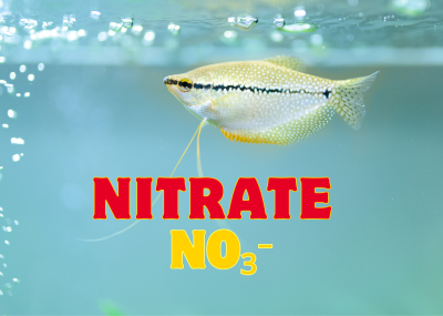 Nitrate (NO₃⁻) trong Nuôi Thủy Sản: Tác Hại, Nguy Cơ và Giải Pháp Kiểm Soát